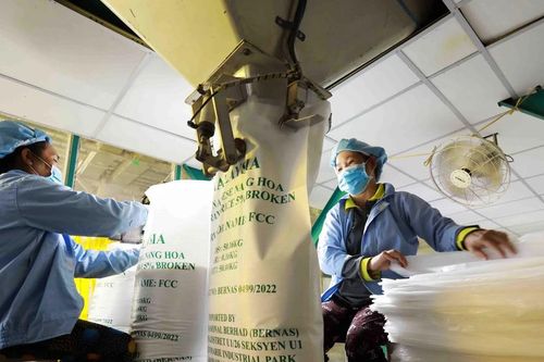 Doanh nghiệp Việt Nam cần tận dụng cơ hội thị trường để đẩy mạnh xuất khẩu gạo