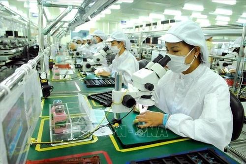 Gần 8.600 doanh nghiệp thành lập trong tháng Tết
