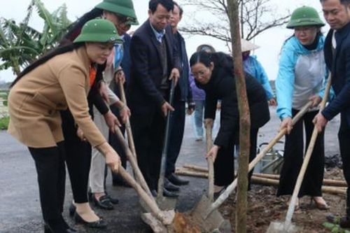 Phụ nữ Hưng Yên trồng gần 350 cây xanh hưởng ứng 'Tết trồng cây' năm 2024