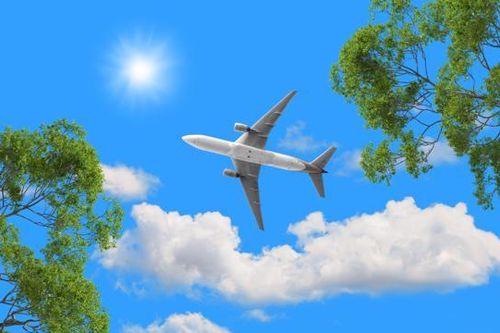Hàng không toàn cầu trong vùng 'nhiễu động', nhân tố giúp doanh nghiệp thích ứng và vươn lên
