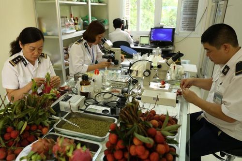 Hơn 80 dòng hàng nông nghiệp sắp miễn kiểm tra chuyên ngành trước thông quan