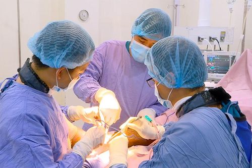 Tận tâm cống hiến