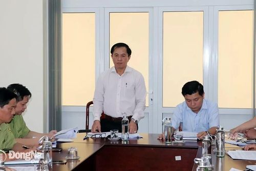 Bảo vệ nghiêm ngặt cây ươi mùa ra quả