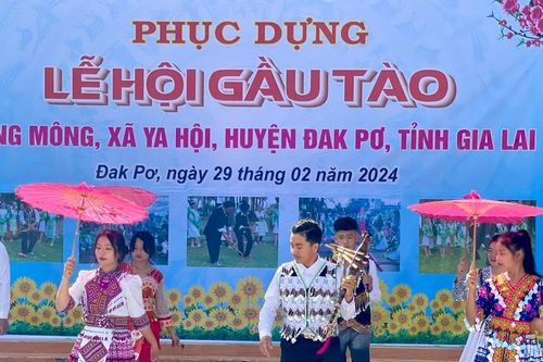 Đak Pơ phục dựng lễ hội Gầu Tào