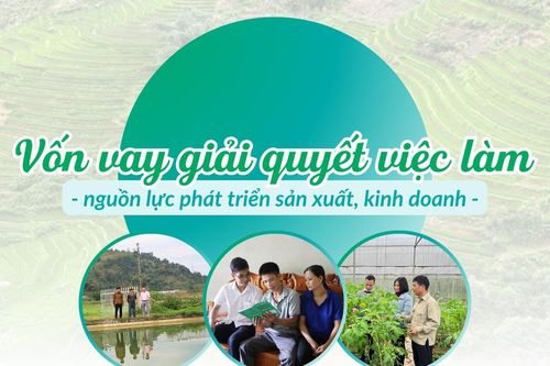 Vốn vay giải quyết việc làm - nguồn lực phát triển sản xuất, kinh doanh