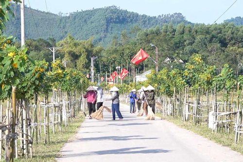 Nhân rộng những 'tuyến đường kiểu mẫu'