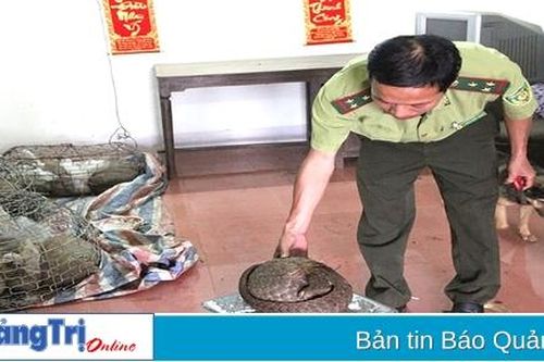 Chú trọng thực thi pháp luật về bảo tồn đa dạng sinh học và bảo vệ động vật hoang dã