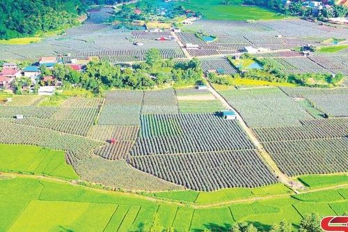 Xây dựng nông thôn mới hiệu quả, bền vững