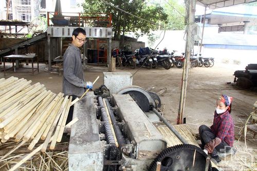 Tín hiệu vui cho kinh tế lâm nghiệp