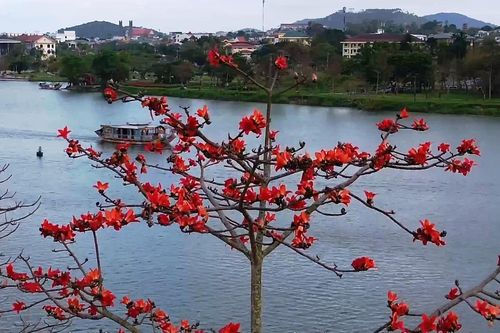 Bản tin Văn hóa du lịch ngày 29/2