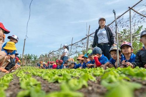 HTX trước quy định về đất sử dụng đa mục đích trong Luật Đất đai