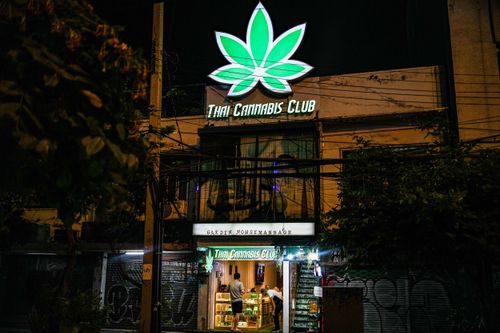 Thái Lan sắp cấm sử dụng cần sa cho mục đích giải trí