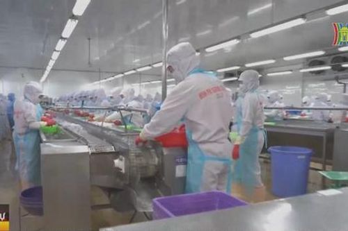 Kim ngạch xuất nhập khẩu hàng hóa Hà Nội giảm