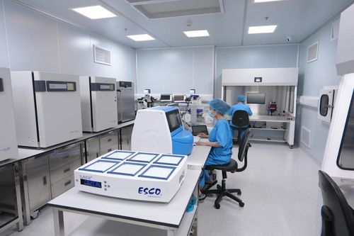 IVF Việt Nam: Tỷ lệ thành công cao nhưng chi phí thấp nhất thế giới