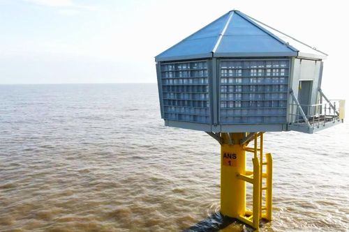 Bồi thường 'tổ chim nhân tạo' khi xây dựng trang trại năng lượng gió