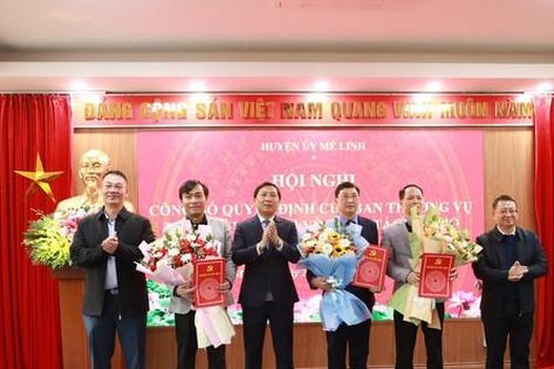 Mê Linh: Hoàn thành củng cố, chú trọng xây dựng tổ chức Đảng