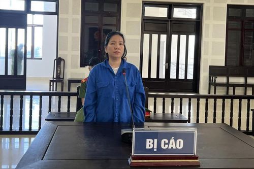 Lừa bán đất 'ảo' chiếm đoạt gần 10 tỷ đồng