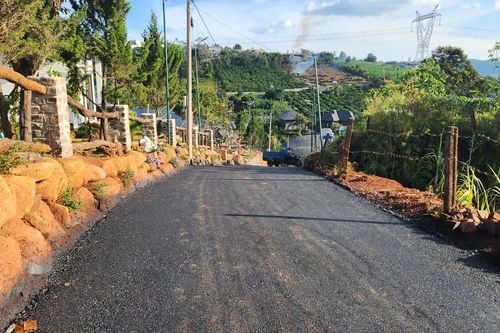 Bảo Lộc: Chuyển hồ sơ sang cơ quan điều tra sai phạm hủy hoại đất, mở đường làm homestay