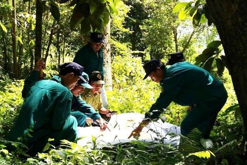 Thừa Thiên Huế: Gần 35 tỷ đồng từ nguồn ERPA đã đến với bà con quản lý bảo vệ rừng