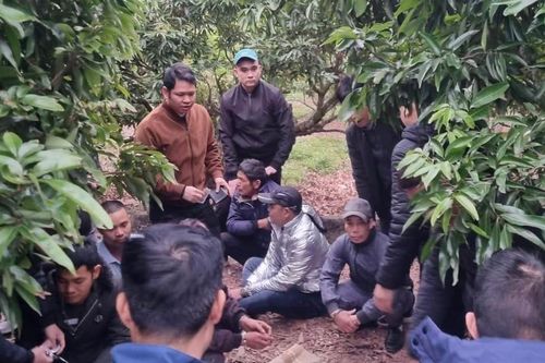 Bắt quả tang 11 đối tượng đánh bạc tại vườn vải