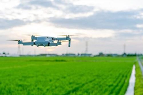 Nông nghiệp thông minh của Nhật Bản dựa vào trí tuệ nhân tạo, máy bay không người lái