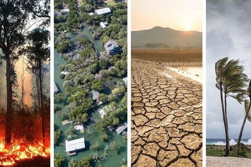 Tổng thư ký LHQ: Cắt giảm khí thải là trách nhiệm của các quốc gia G20