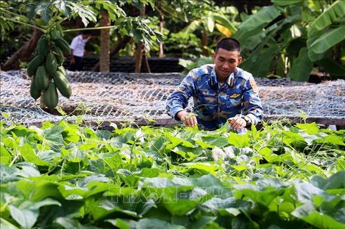 Tăng gia sản xuất trên quần đảo Trường Sa