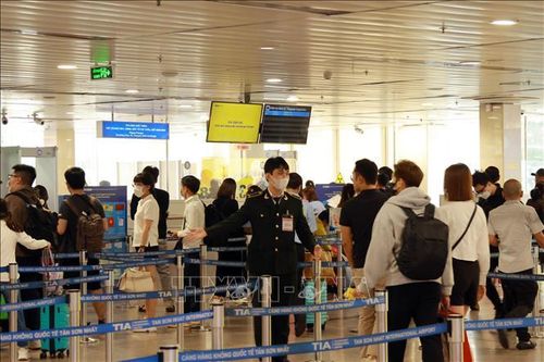 Sân bay Tân Sơn Nhất đón hơn 3,8 triệu lượt khách dịp Tết Giáp Thìn