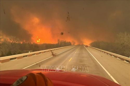 Mỹ: Lực lượng cứu hỏa khống chế đám cháy rừng lớn nhất lịch sử bang Texas