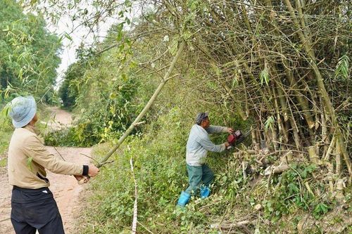 Cưỡng chế thu hồi hơn 1600m2 đất ở TT-Huế để làm công viên có vườn thú