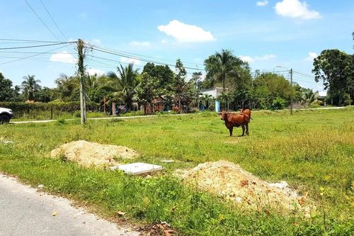 Phó Thủ tướng chỉ đạo sớm trình đề án cho nhận đất khác làm dự án nhà thương mại