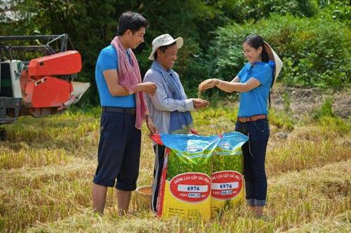 AGM thực hiện các giải pháp khắc phục diện chứng khoán bị cảnh báo
