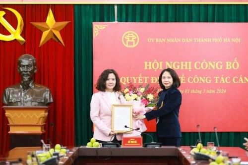 Hà Nội: Bà Lê Thị Ánh Mai được bổ nhiệm chức vụ Phó Giám đốc Sở Văn hóa và Thể thao