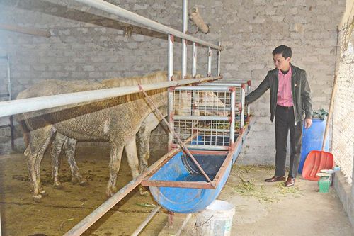 Điểm sáng trong các phong trào thi đua