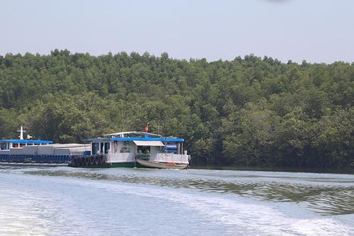 Chuyên đề: Bảo tồn động vật hoang dã: Khai thác bền vững giá trị của động vật hoang dã