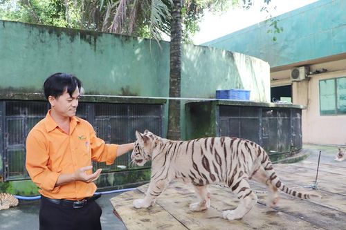 Bảo tồn động vật hoang dã góp phần bảo vệ môi trường