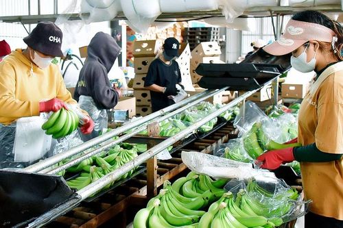 Công nghiệp chế biến: Kỳ vọng tăng trưởng mạnh