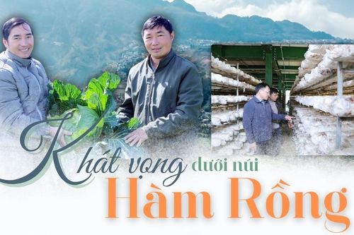 Khát vọng dưới núi Hàm Rồng