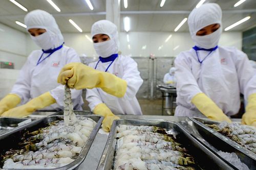 Thực phẩm Sao Ta (FMC) thắng lớn tại thị trường Nhật Bản