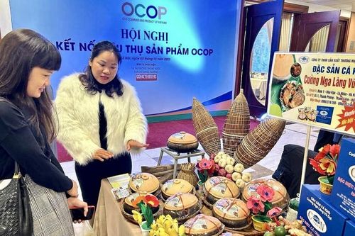 Kết nối tiêu thụ sản phẩm OCOP, tiếp sức cho sản xuất xuất khẩu