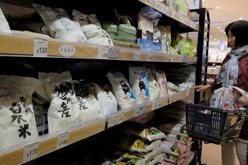 Vì sao gạo Việt Nam khó vào thị trường Nhật?