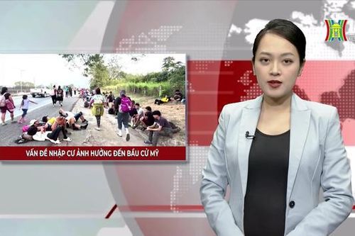 Vấn đề nhập cư ảnh hưởng đến bầu cử Mỹ | Nhìn ra thế giới | 01/03/2024