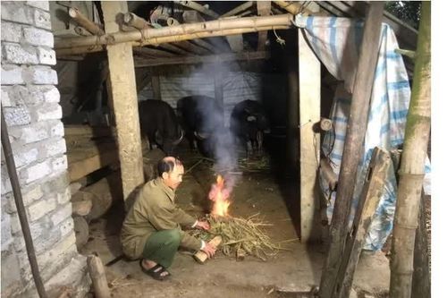Diễn biến mới nhất về không khí lạnh gây rét đậm, rét hại ở Bắc Bộ