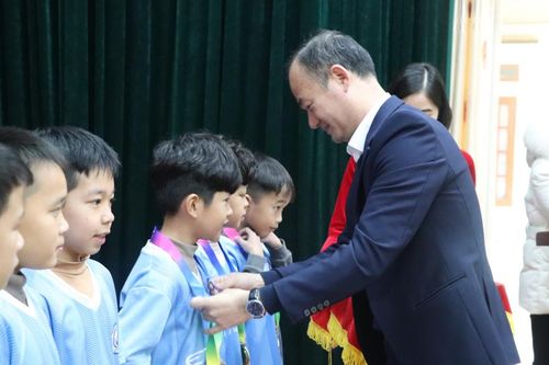 Hội khỏe Phù Đổng lần thứ XI trao 222 huy chương