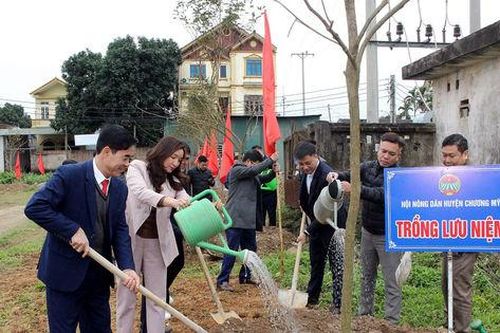 Nông dân Chương Mỹ trồng cây, bảo vệ môi trường