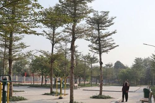 Xây dựng nông thôn mới: Hiệu quả khi người dân thực sự hài lòng