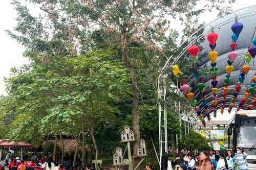Cần cơ chế đặc thù cho du lịch nông nghiệp, nông thôn phát triển