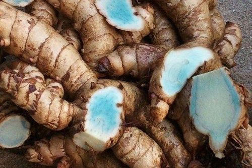 5 bài thuốc từ củ nghệ đen