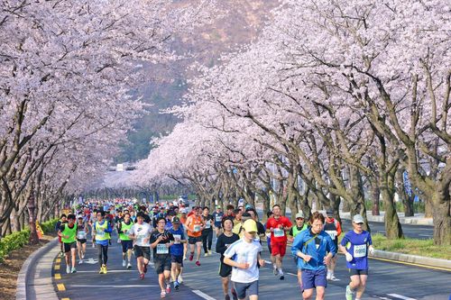 Du lịch thể thao - Hướng đi mới cho du lịch Việt