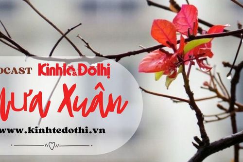 Podcast Tản văn: Mưa Xuân
